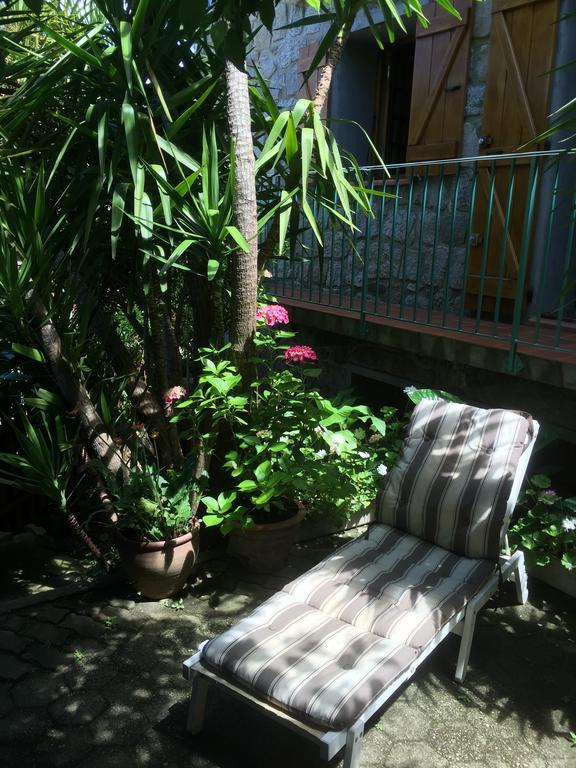 GITE , Maison de vacances avec extérieur et terrasse fleurie Santa-Lucia-di-Tallano Exterior foto