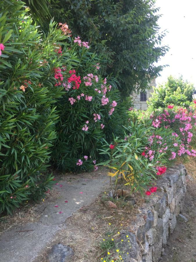 GITE , Maison de vacances avec extérieur et terrasse fleurie Villa Santa-Lucia-di-Tallano Exterior foto