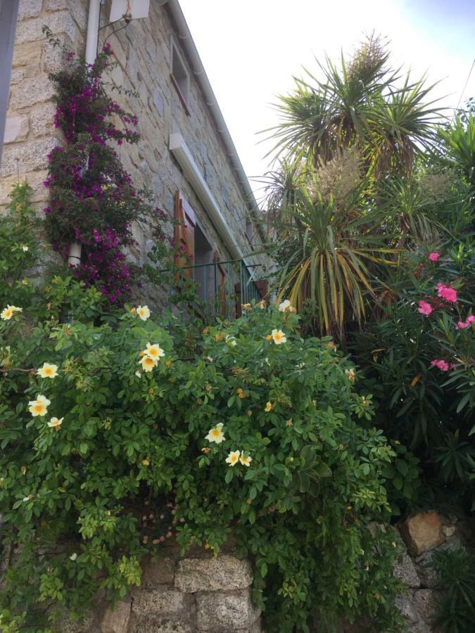 GITE , Maison de vacances avec extérieur et terrasse fleurie Santa-Lucia-di-Tallano Exterior foto